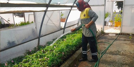 Didim Belediyesi’nden topraktan kente uzanan üretim..