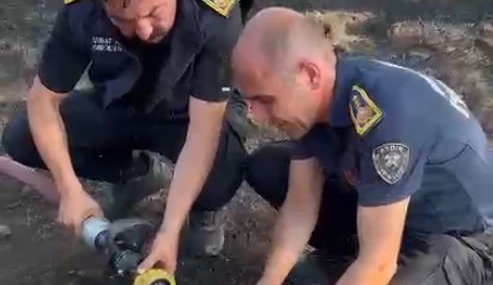 İtfaiye erleri alevlerin arasında kalan kaplumbağayı böyle kurtardı..