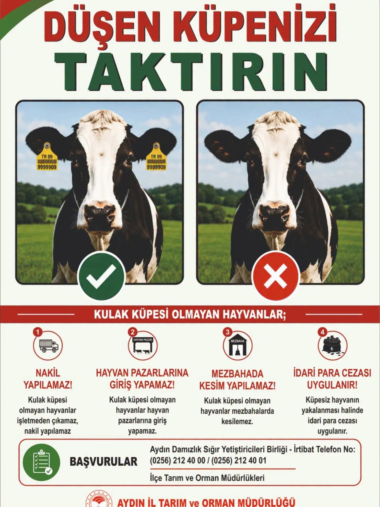 AYDIN'DA HAYVAN YETİŞTİRİCİLERİNE 'KULAK KÜPESİ' ÇAĞRISI KÜPESİZ HAYVANLARA İDARİ PARA CEZASI UYGULANIYOR