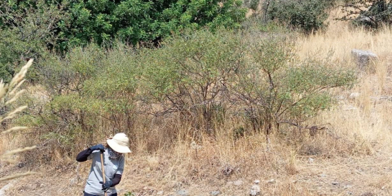 Söke’nin turizme açılan mahalleleri bakıma alındı..