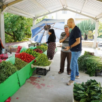 GERMENCİK'TE KAPALI PAZAR YERİ ESNAF VE VATANDAŞLARIN HİZMETİNE SUNULDU