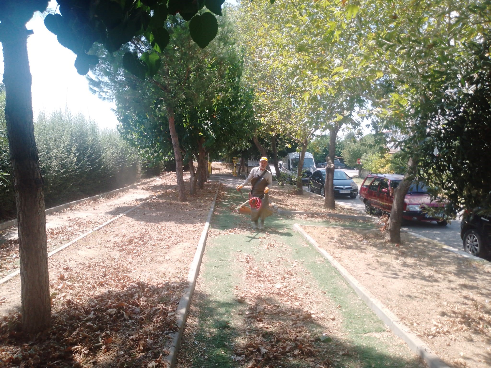 KÖŞK'TE PARK VE YEŞİL ALANLARDA BAKIM ÇALIŞMALARI SÜRÜYOR