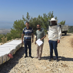 SÖKE'DE ARILI KOVAN TESPİT ÇALIŞMALARI SÜRÜYOR