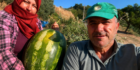 Aydın’da 550 rakımda karpuz ve balkabağı yetiştiriyorlar..