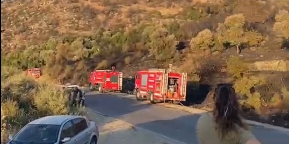 Söke’deki orman yangını kontrol altına alındı..