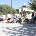 DİDİM BELEDİYESİ'NDEN DENİZKÖY'DE KAPSAMLI ÇALIŞMA