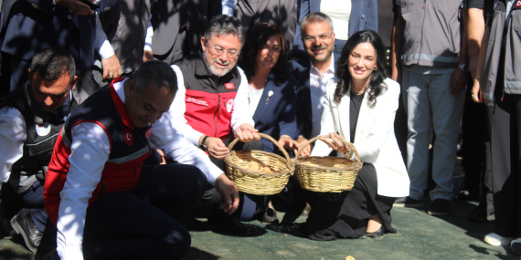 Bakan Yumaklı Aydın’da incir hasadına katıldı..