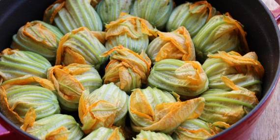 KABAK ÇİÇEĞİ DOLMASI