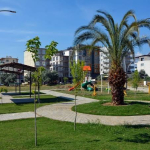 images (38)
