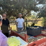 BAŞKAN ZENCİRCİ, İNCİR ÜRETİCİLERİNİ YALNIZ BIRAKMADI