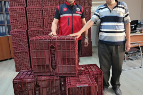 KÖŞK'TE İNCİR ÜRETİCİLERİNE HİBELİ KASA DESTEĞİ