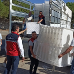 SÖKE'DE İNCİR ÜRETİCİLERİNE YÜZDE 50 HİBELİ KEREVET DESTEĞİ