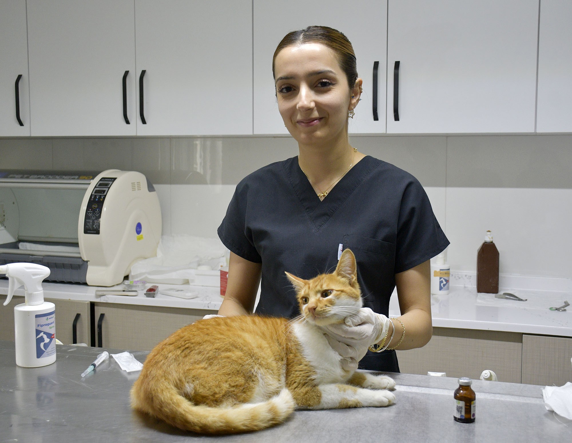 KUŞADASI'NDA 1 YILDA BİN 539 SOKAK KEDİSİ ÜCRETSİZ KISIRLAŞTIRILDI