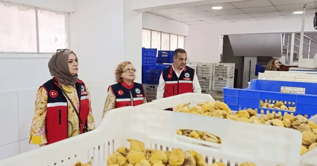 AYDIN'IN SARI ALTINI İNCİR İÇİN DENETİMLER SIKLAŞTIRILDI