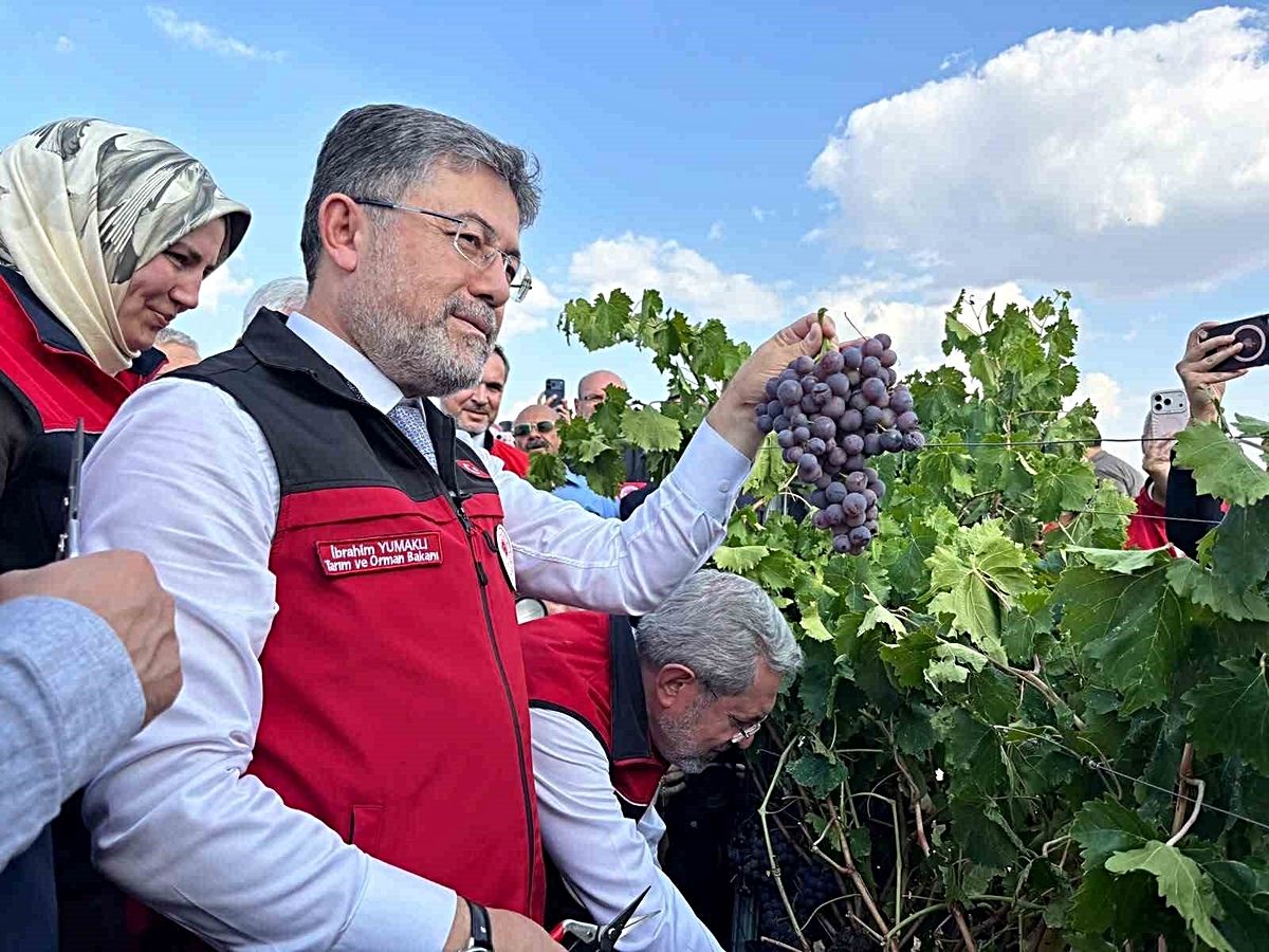 bakan-yumakli-bu-yil-uzum-uretiminin-3-milyon-2-20258412_amp