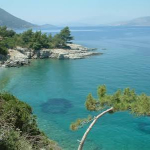 images (30)