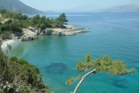 images (30)